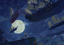 page banner image