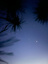 IMG_8289.jpeg