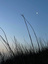 IMG_8282.jpeg