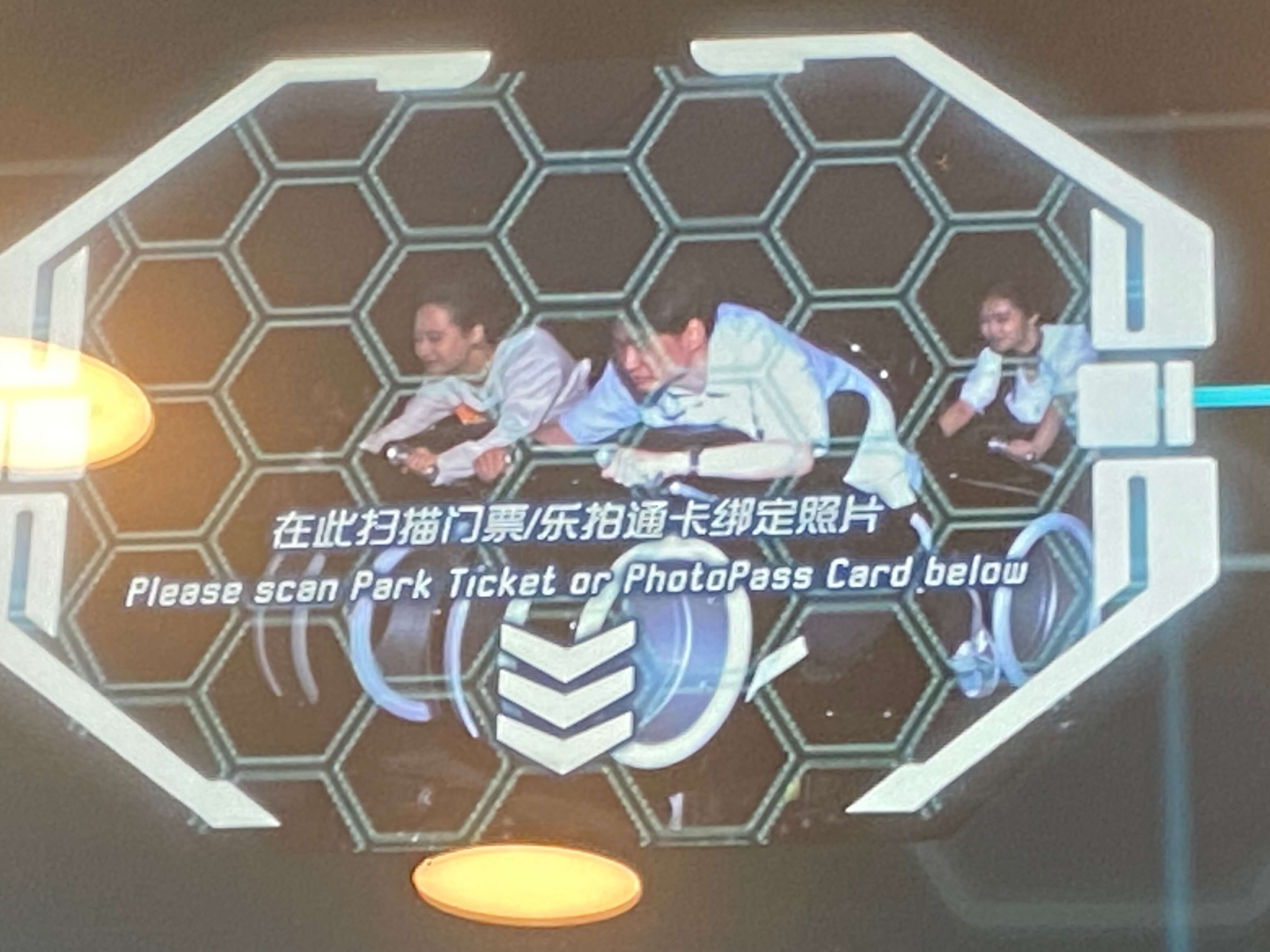 IMG_8942.jpeg IMG_8942.jpeg