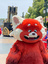 IMG_8920.jpeg